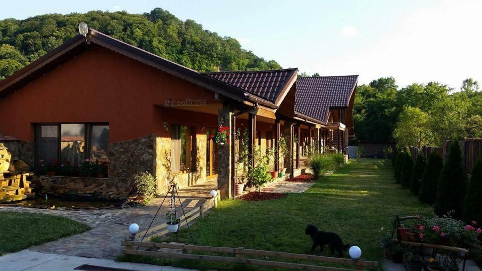 Pensiunea Raiul Muntilor Sebiş Exterior foto